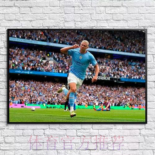 世界杯阿根廷哈兰德比赛解读全面分析